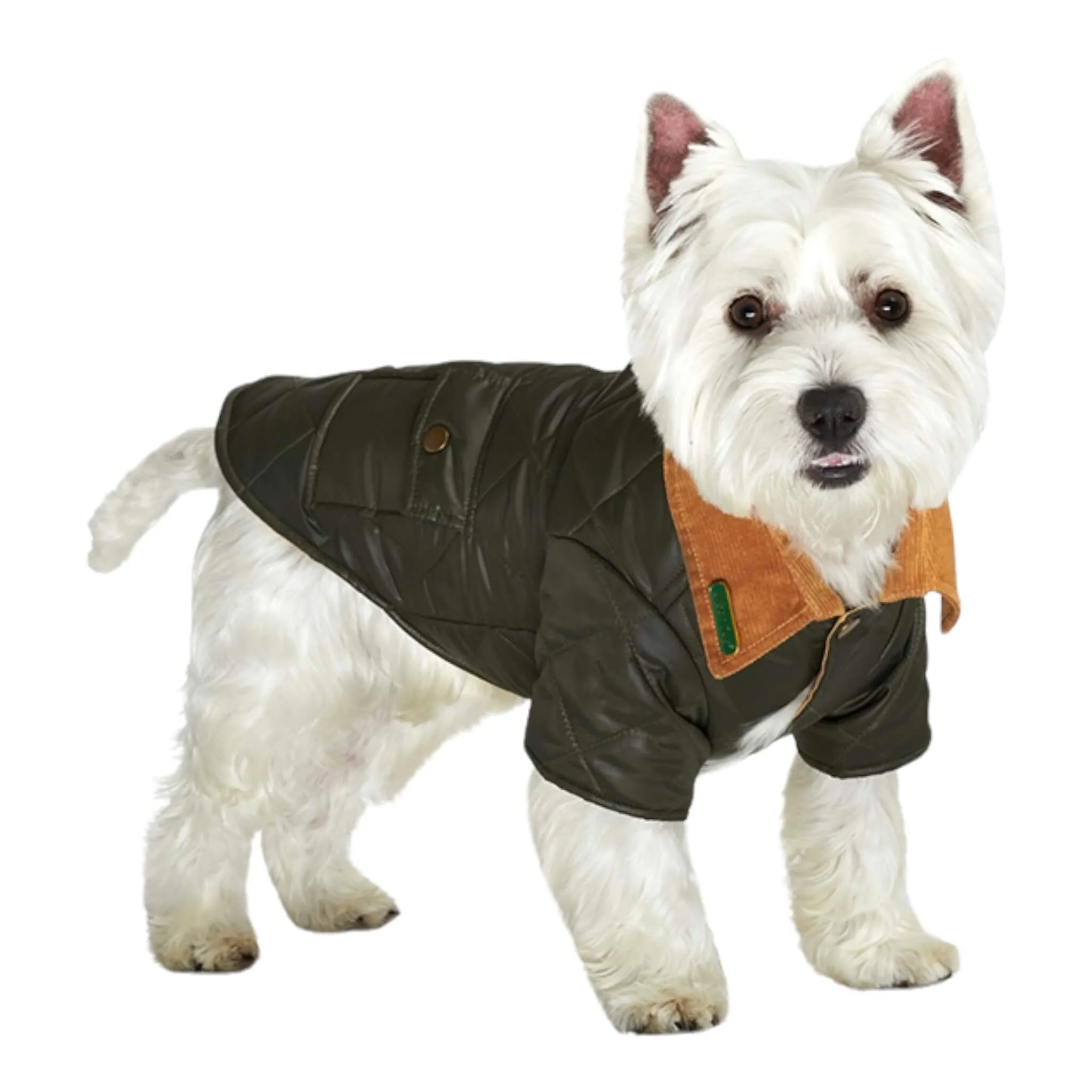 Forest Green Quilted Town and Country Dog Coat