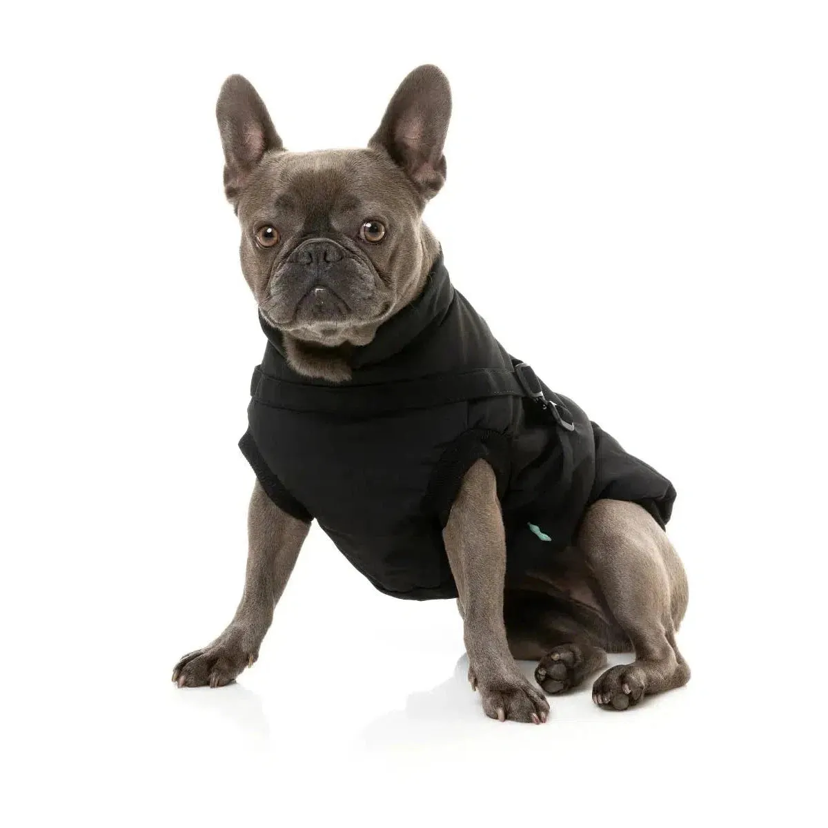 FuzzYard | Flash Harness Jacket - Black